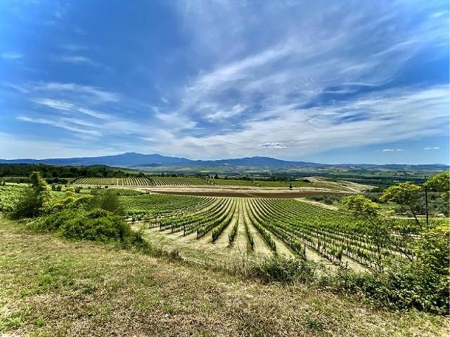 Primavera in Camper: Mete e Preparazione delle batterie