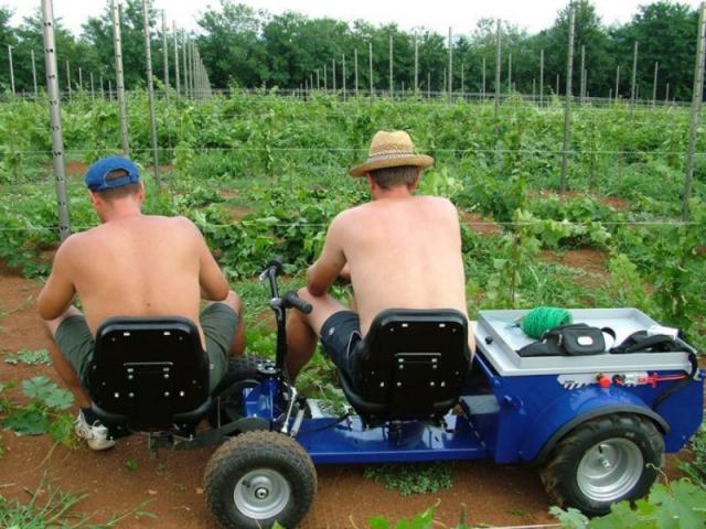 Trattori elettrici per vigneti e aziende agricole