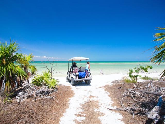 Manutenzione estiva delle golf car elettriche