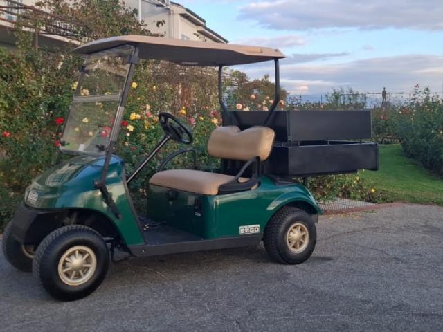 Golf Car nei Vivai: Efficienza e Comfort in Movimento