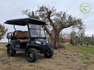 Club Car OnWard 4 posti