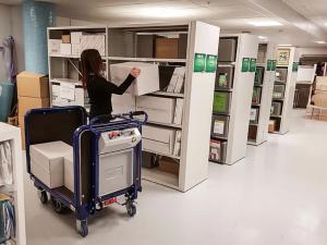 Carrello elettrico a batteria Zallys M15