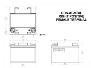 ODYSSEY ODS-AGM28L Batteria Piombo Puro in AGM VRLA