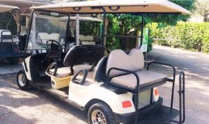 Golf Car Eagle 6 Posti - Solo 7.200€ + IVA
