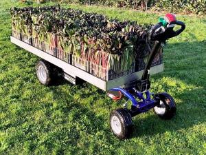 Carrello pianale elettrico Zallys JESPI L