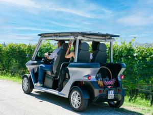 ALBA 4SC Golf Car Omologata 4 posti