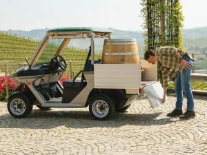ALBA SC CARGO Golf Car Omologata 2 posti con cassone