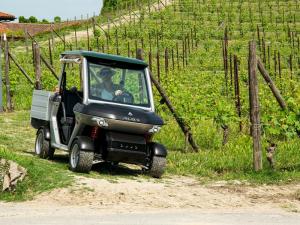 ALBA SC CARGO Golf Car Omologata 2 posti con cassone
